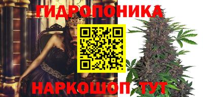 ГАЛЛЮЦИНОГЕННЫЕ ГРИБЫ Гусев