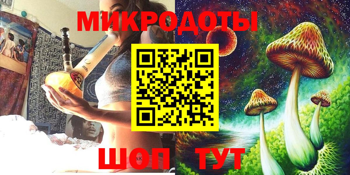 Галлюциногенные грибы Psilocybe Нефтеюганск
